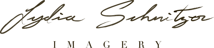 Lydia Schnitzer Imagery-logo-brown